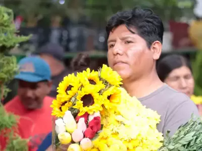 Por qu se regalan flores amarillas en el Per.