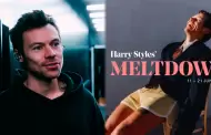 Harry Styles arma festival Meltdown 2026 con artistas independientes: "La m�sica es mi vida"
