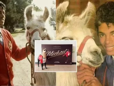 Llama peruana "Luchita" se roba el show en estreno de pel�cula de Michael Jackson en Lima
